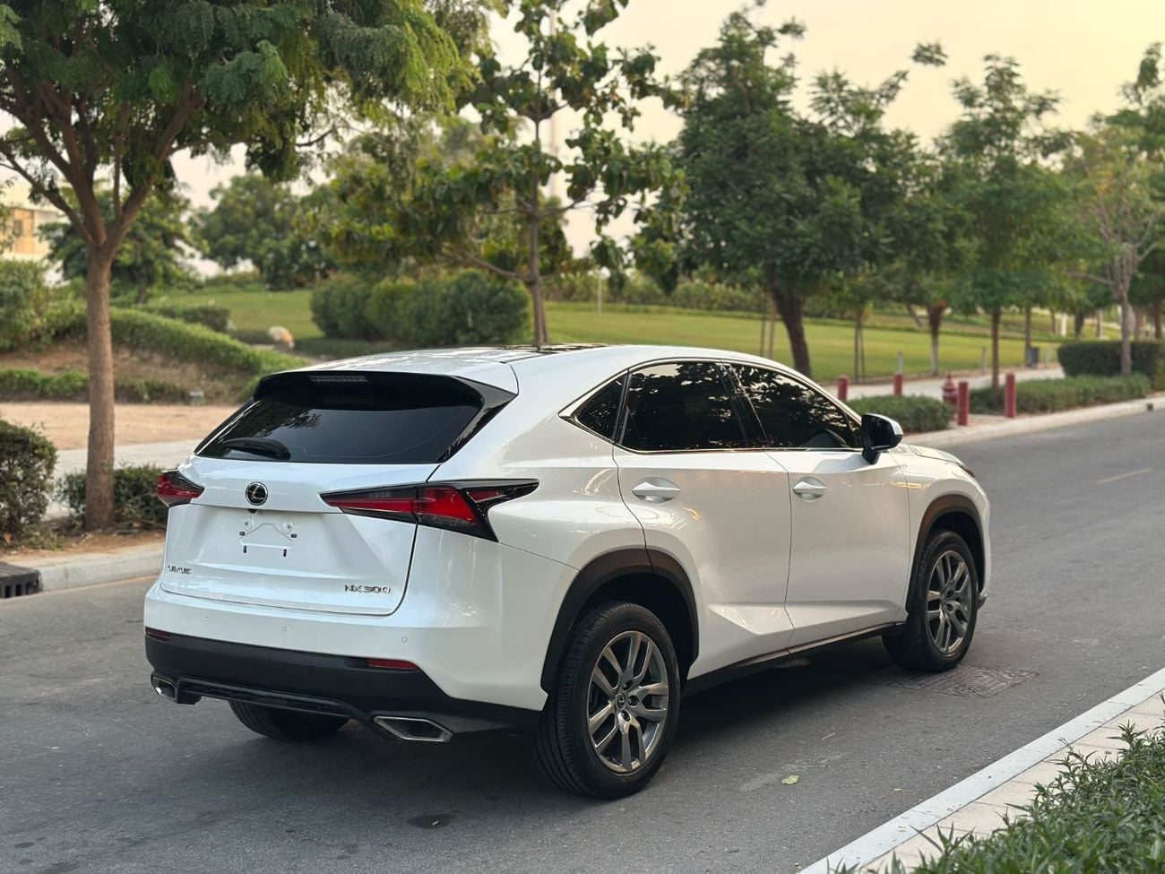 Lexus NX300 PLATINUM