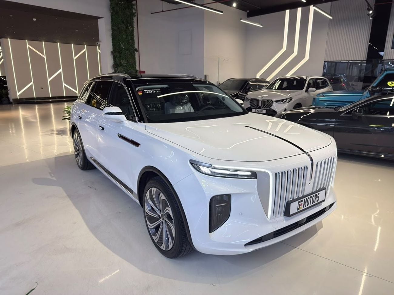 هونغشي EHS9 HIGH 3600 ميجابكسل | سيارة هونغتشي E-HS9 الرائدة لعام 2025 | ضمان وخدمة لمدة 5 سنوات