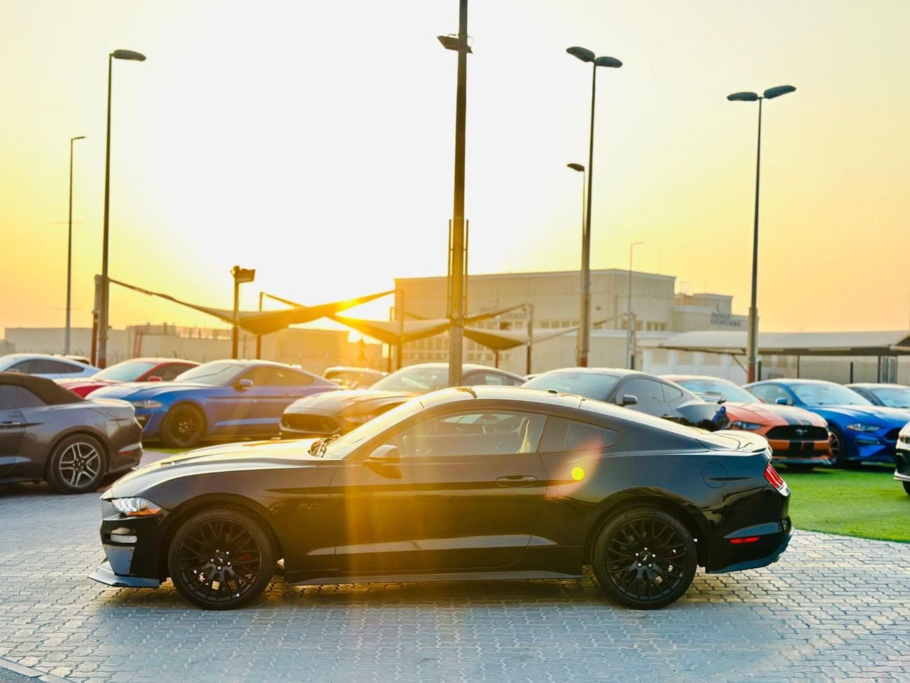 Ford Mustang STANDARD Ecoboost | Monthly 1150/- | 0% DP | Paddle Shifters | Active Exhaust | # 02546