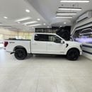 Ford F-150 PLATINUM CREW CAB