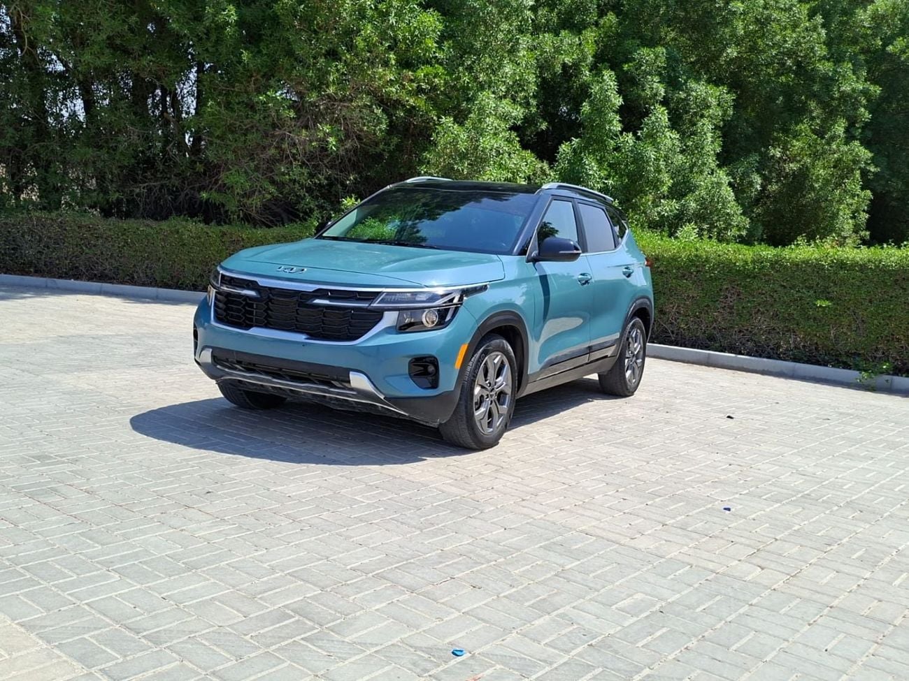 Kia Seltos EX