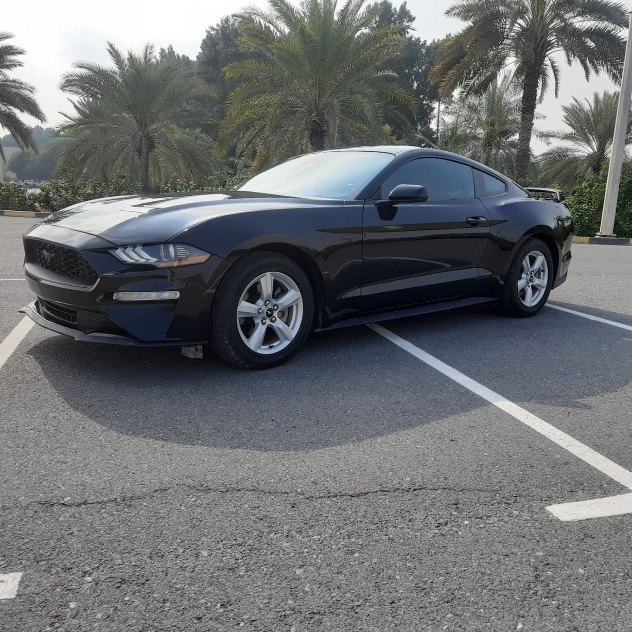 Ford Mustang EcoBoost Premium