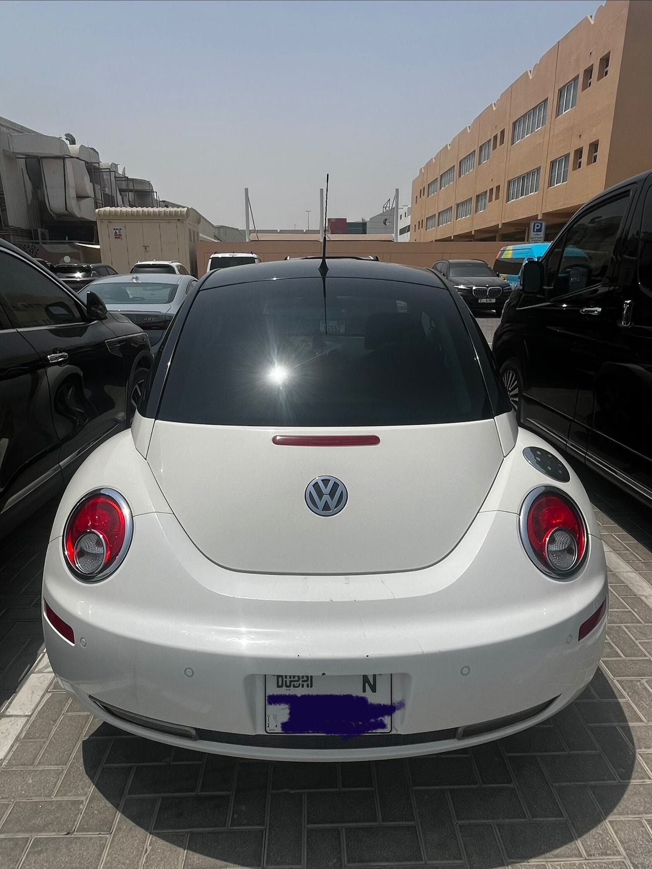 Volkswagen Beetle STANDARD