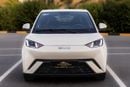 BYD Seagull STANDARD