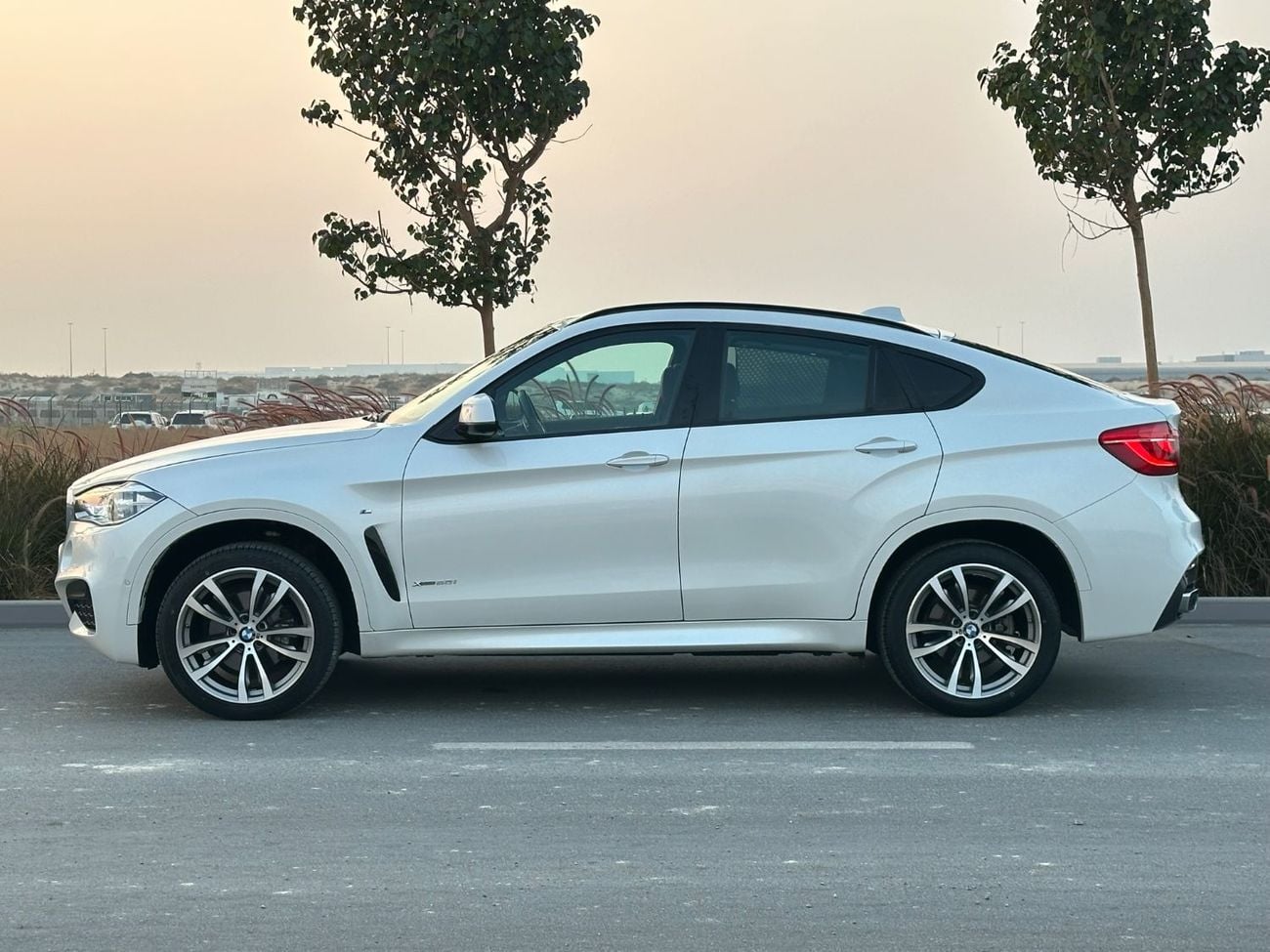 BMW X6 XDRIVE 35i