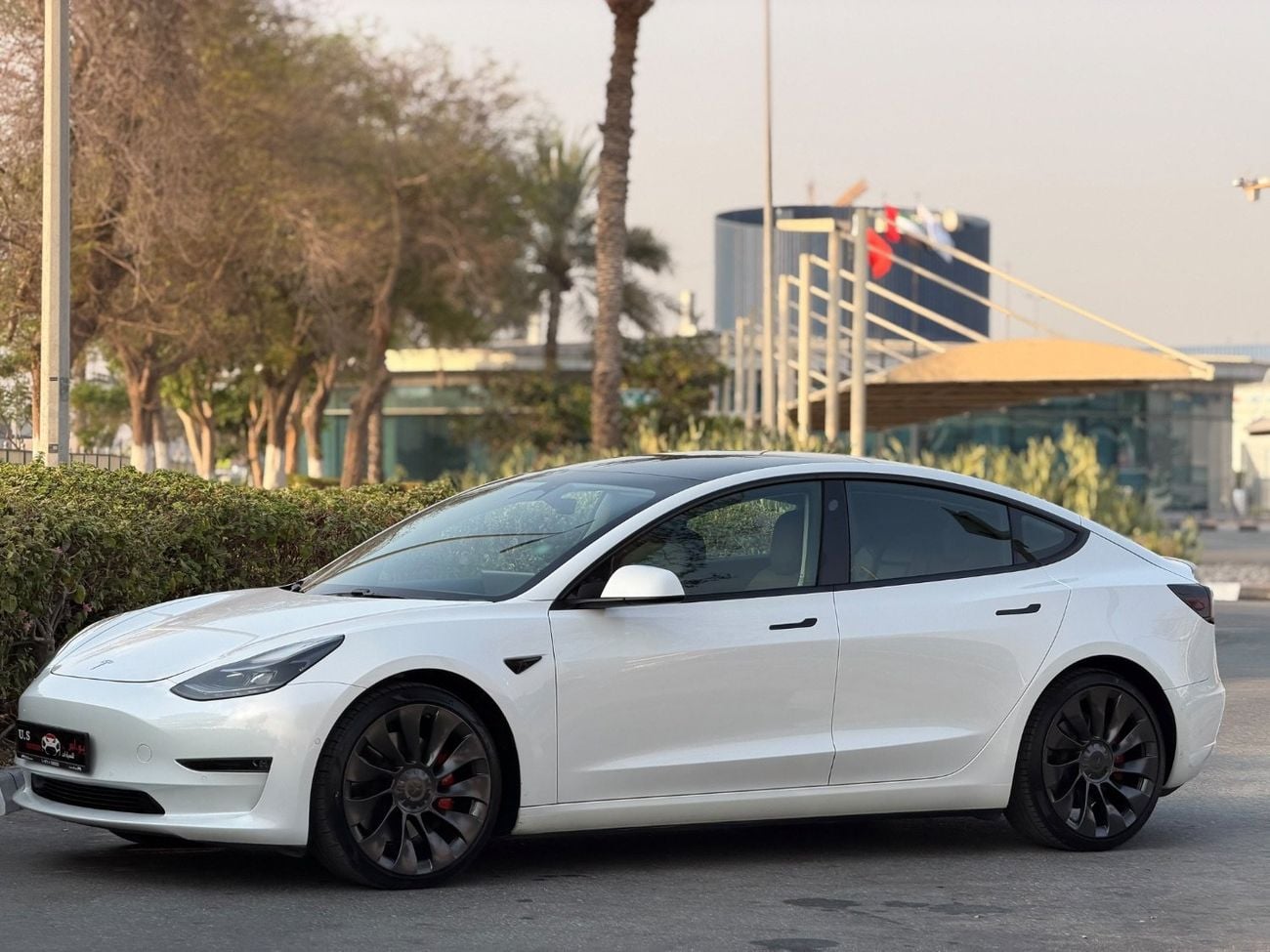 Tesla Model 3 PERFORMANCE