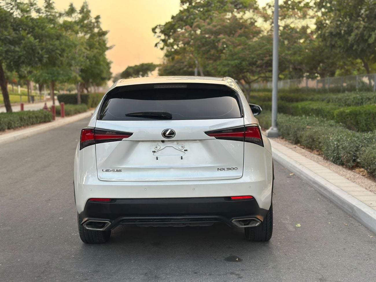 Lexus NX300 PLATINUM