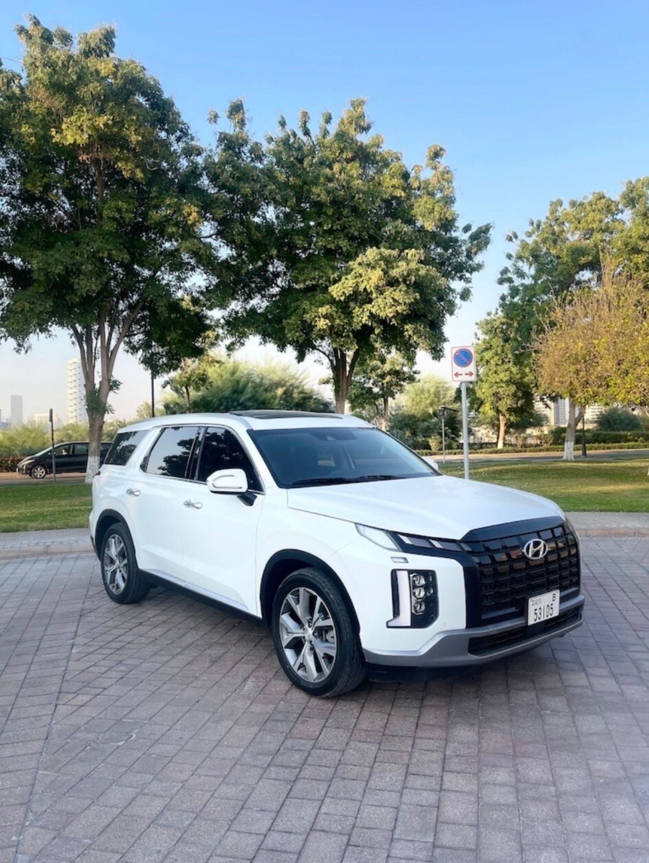 Hyundai Palisade PREMIUM NAPPA