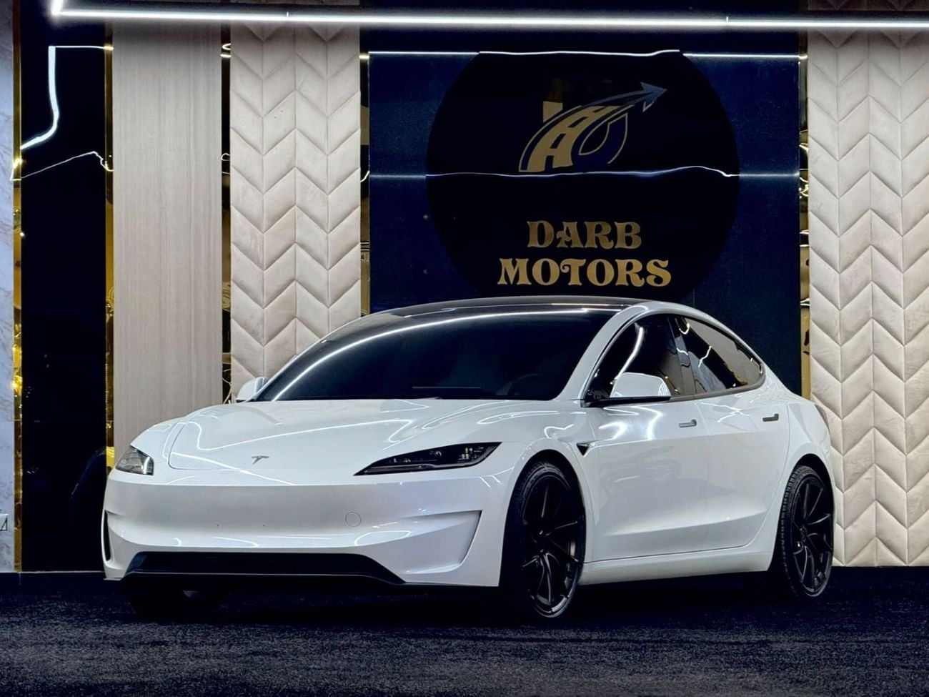 Tesla Model 3 PERFORMANCE