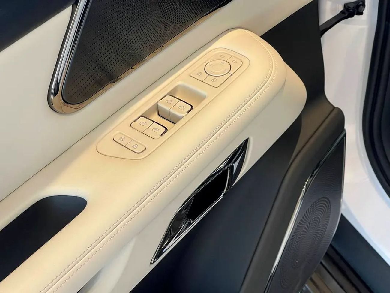 ROX 01 VIP / 6 SEATS / / KM / LONG RANGE / WARRANTY AND SERVICE CONTRACT 5 YEARS EVS
