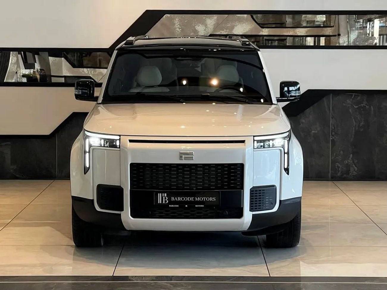 ROX 01 VIP / 6 SEATS / / KM / LONG RANGE / WARRANTY AND SERVICE CONTRACT 5 YEARS EVS