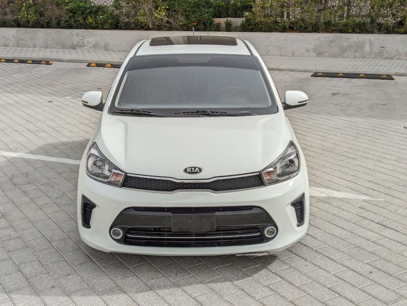 Kia Pegas EX FOP
