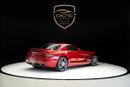 Mercedes Benz SLS AMG STANDARD LE MANS