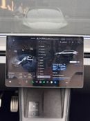 Tesla Model 3 PERFORMANCE