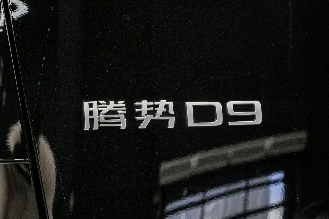 Denza D9