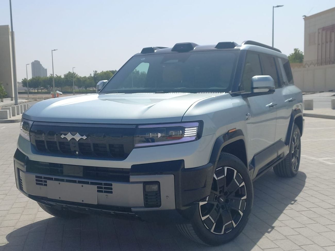 بي واي دي ليوبارد 8 فلاجشيب
