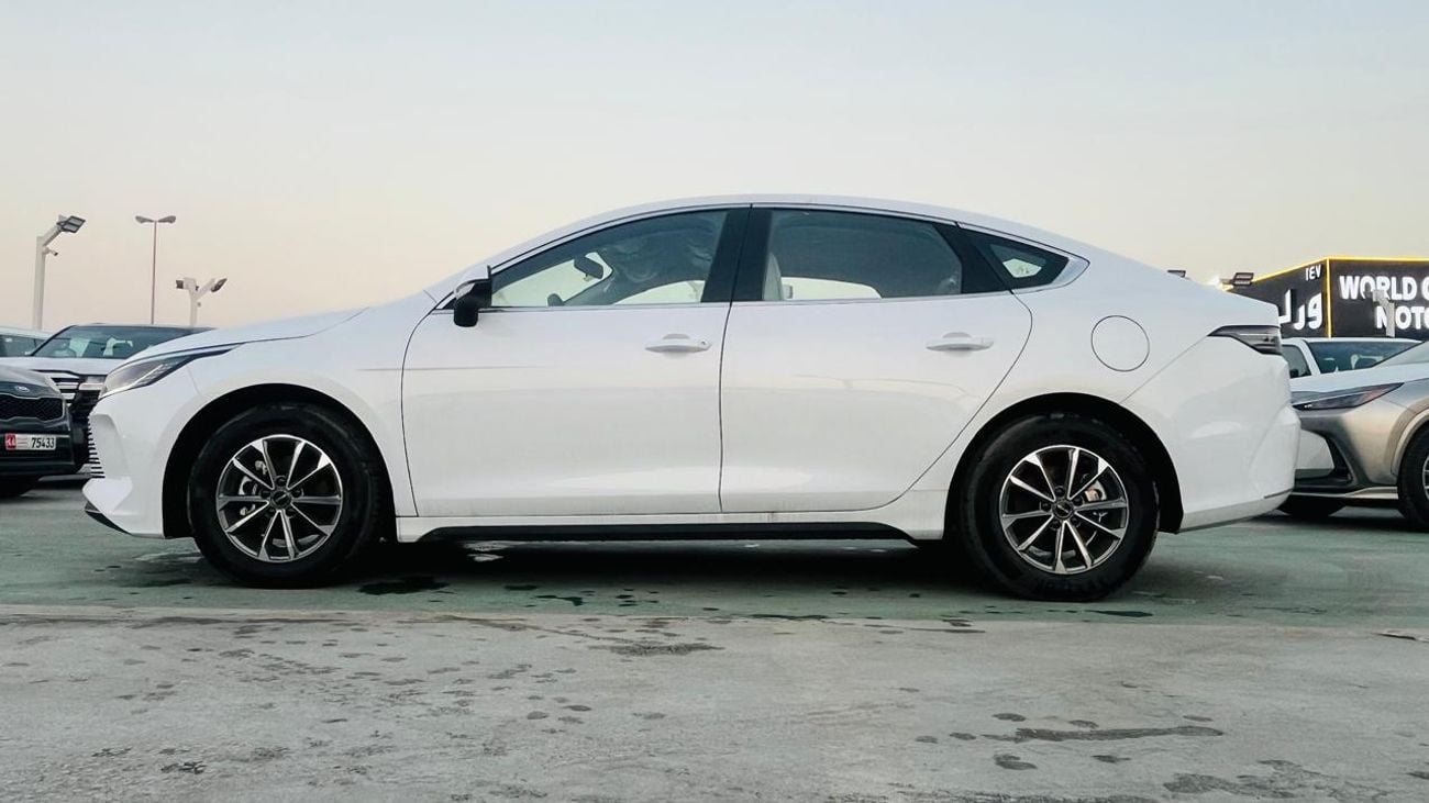 BYD Destroyer 05 STANDARD