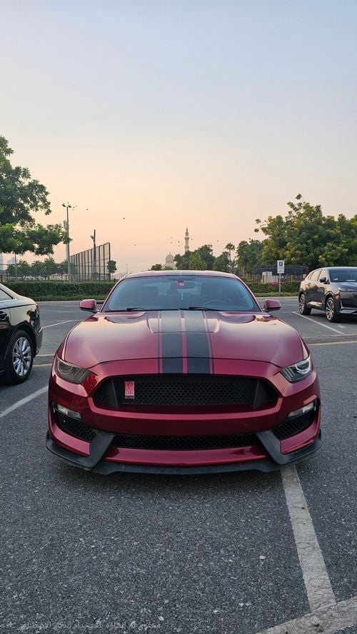 Ford Mustang STANDARD