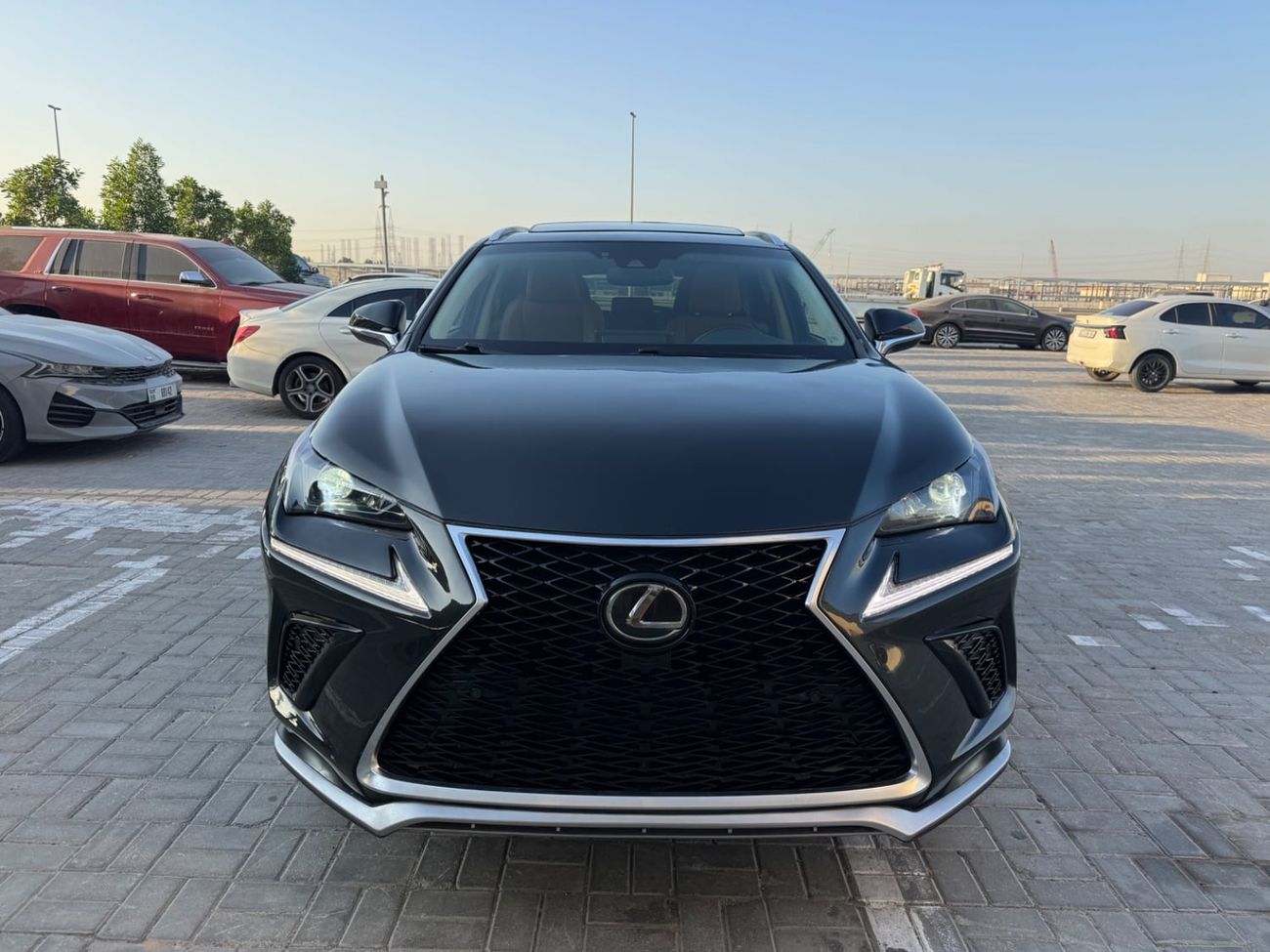 Lexus NX300 PREMIER 2020