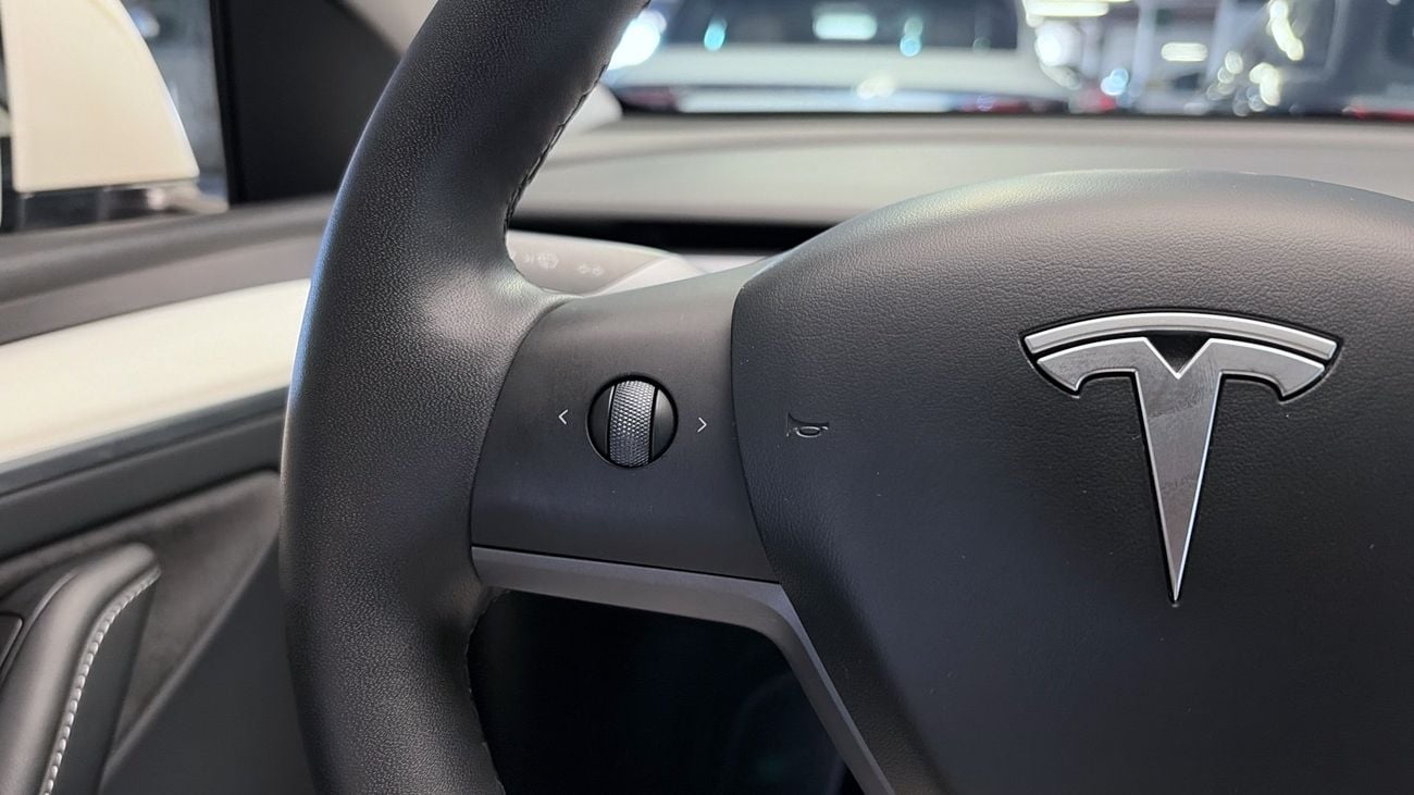 Tesla Model Y PERFORMANCE | Guaranteed Warranty | 0 Down Payment