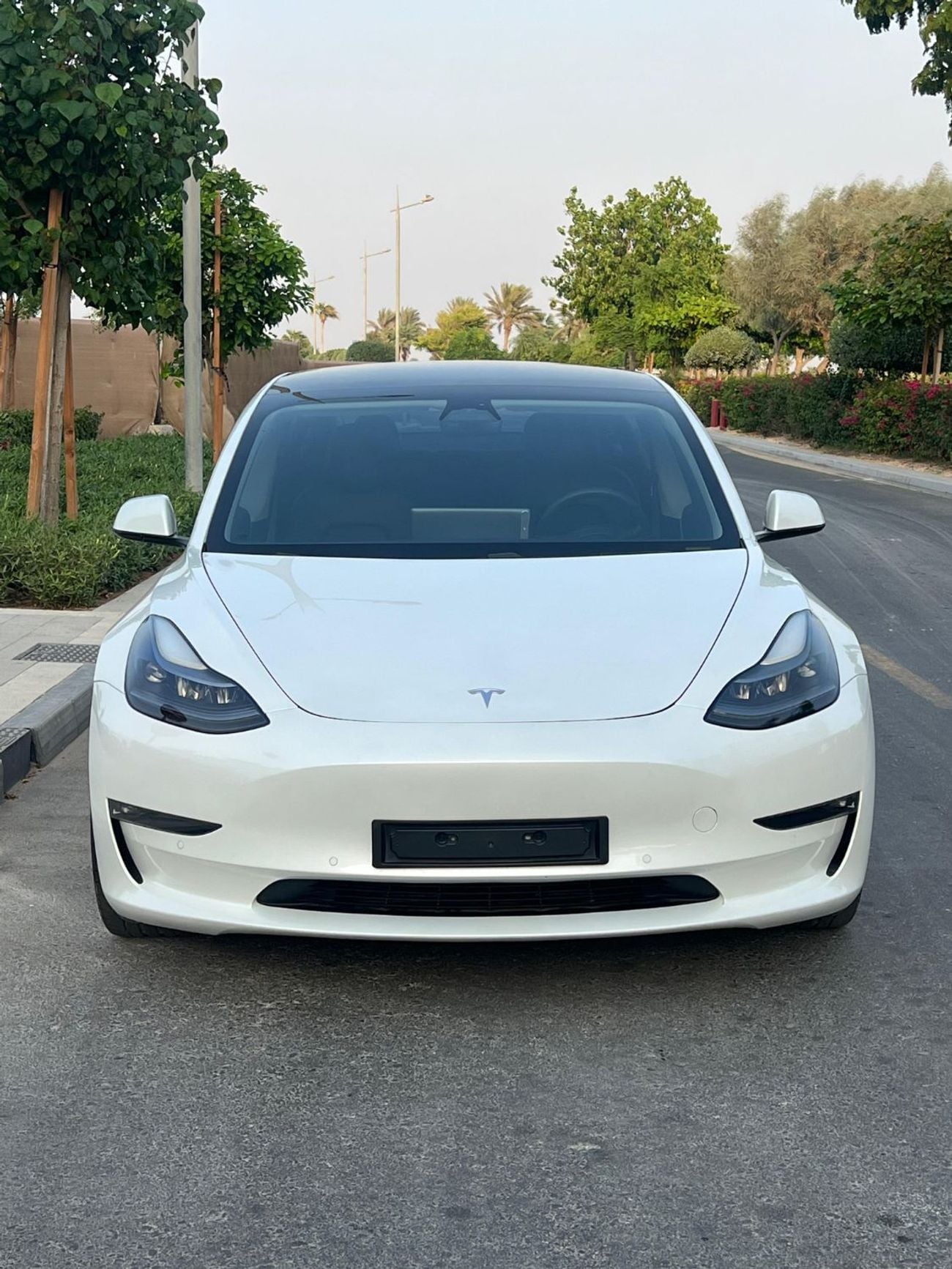 Tesla Model 3 LONG RANGE