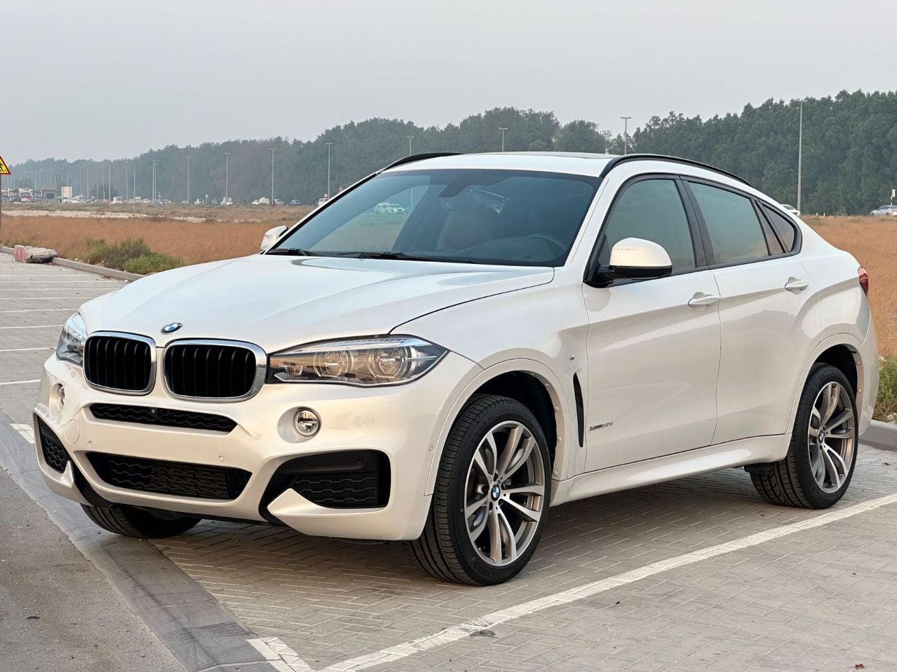 BMW X6 XDRIVE 35i