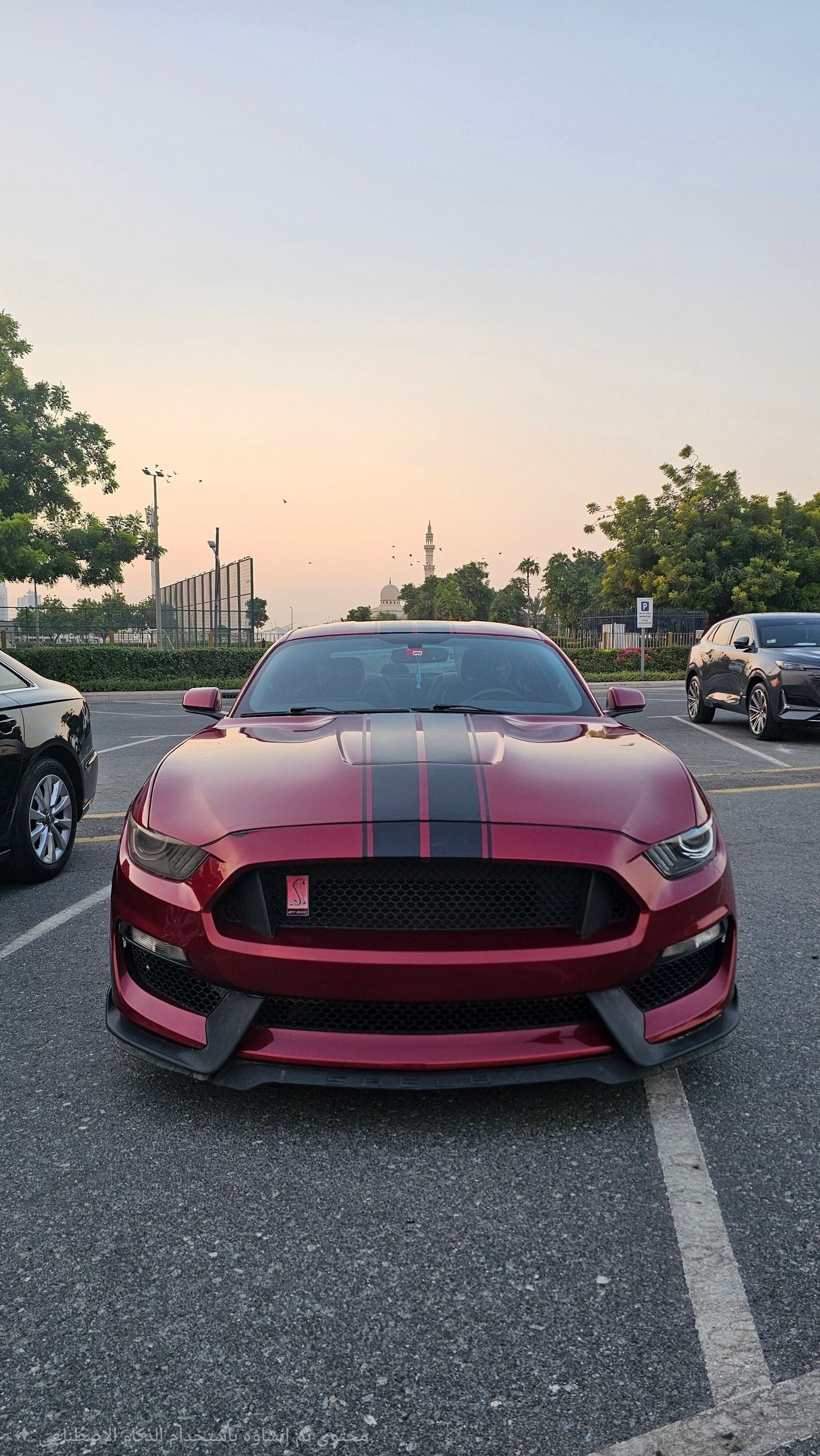 Ford Mustang STANDARD