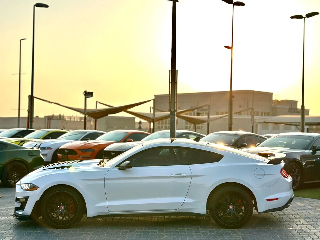 فورد موستانج STANDARD إيكوبوست | قسط شهري 1200/- | دفعة أولى 0% | مساعد البقاء في المسار | جنوط ألمنيوم فاخرة | # 10666