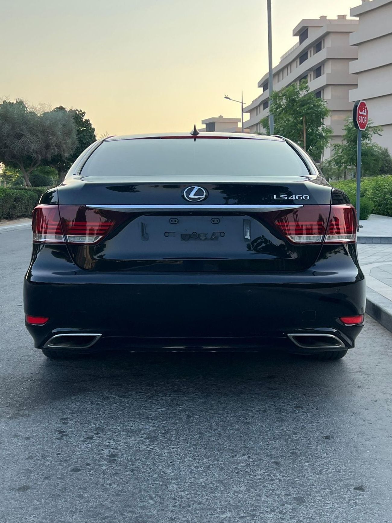 Lexus LS460 LUXURY
