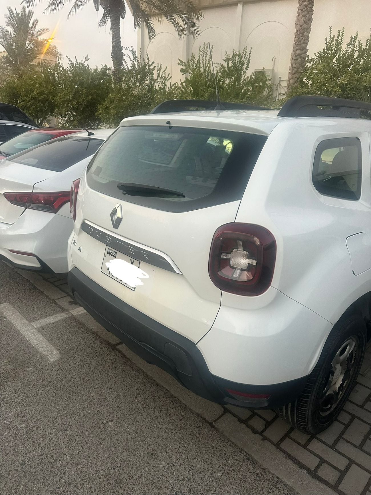 Renault Duster SE
