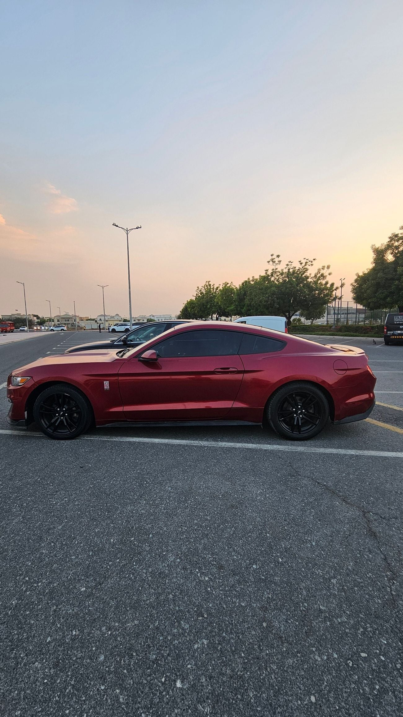 Ford Mustang STANDARD