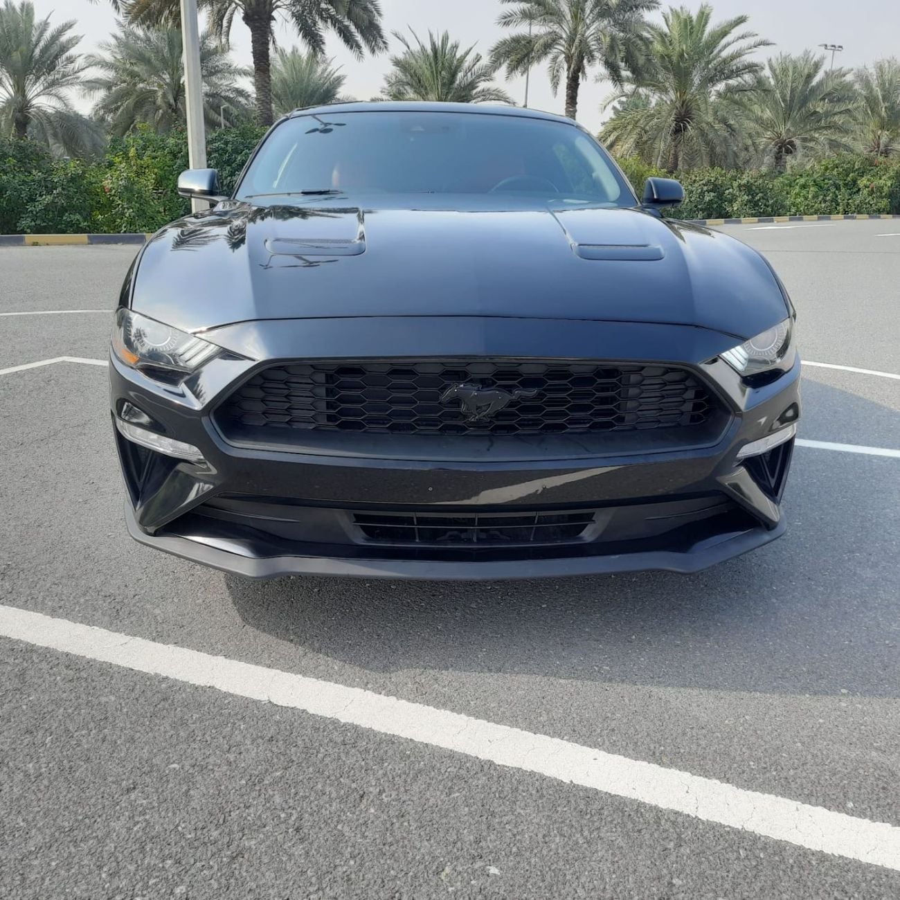 Ford Mustang EcoBoost Premium