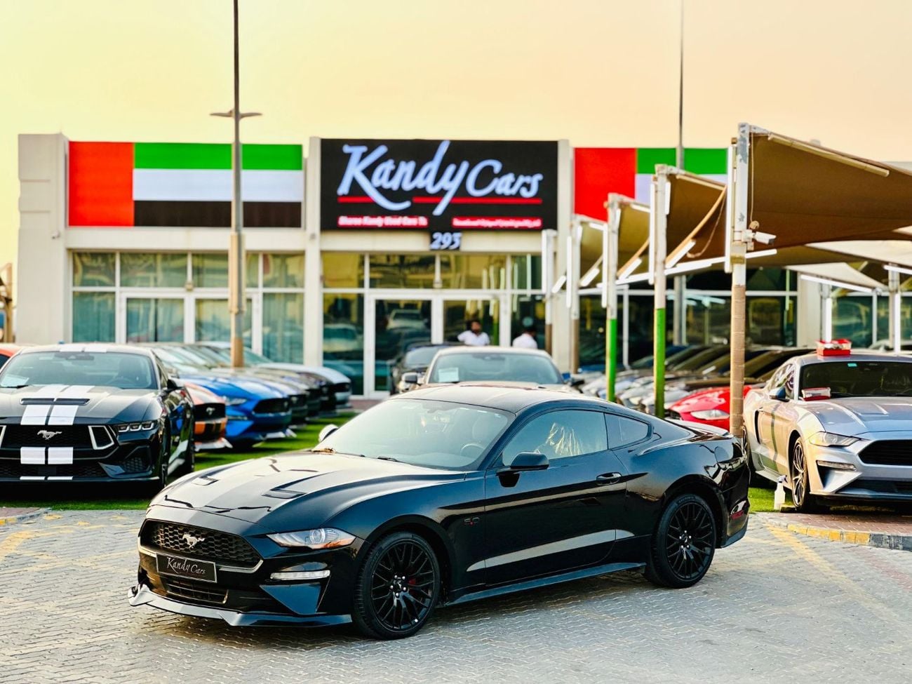 Ford Mustang STANDARD Ecoboost | Monthly 1150/- | 0% DP | Paddle Shifters | Active Exhaust | # 02546