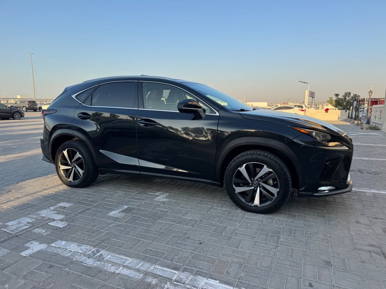 Lexus NX300 PREMIER 2020