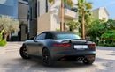 Jaguar F-TYPE STANDARD