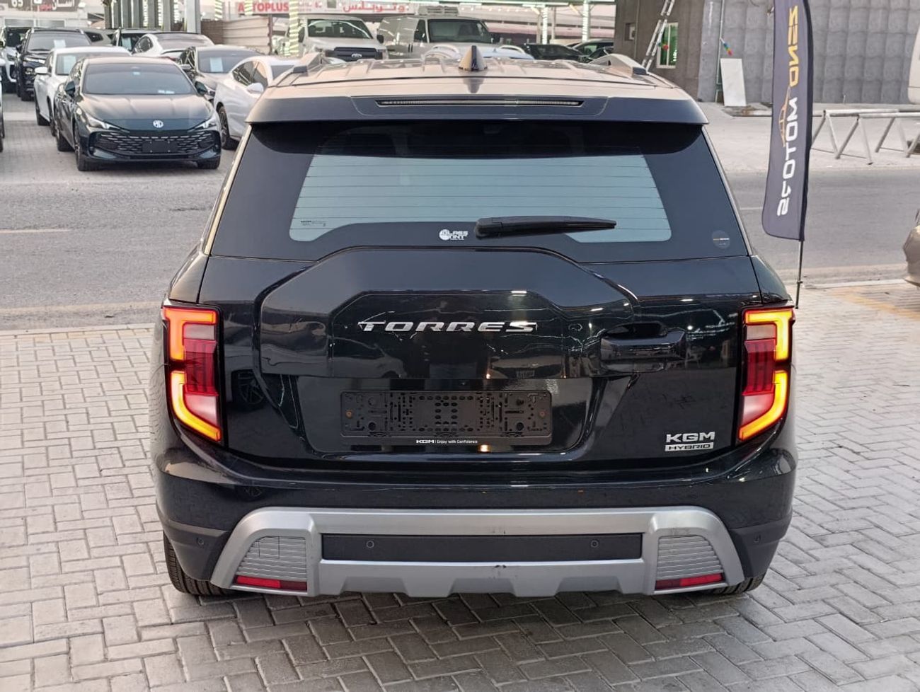 سانج يونج توريس