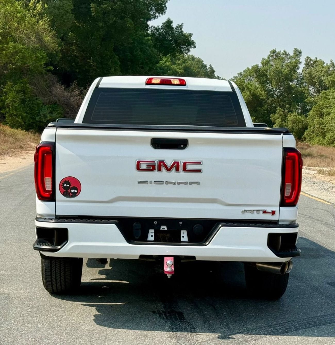 GMC Sierra 1500 REG/CAB AT4
