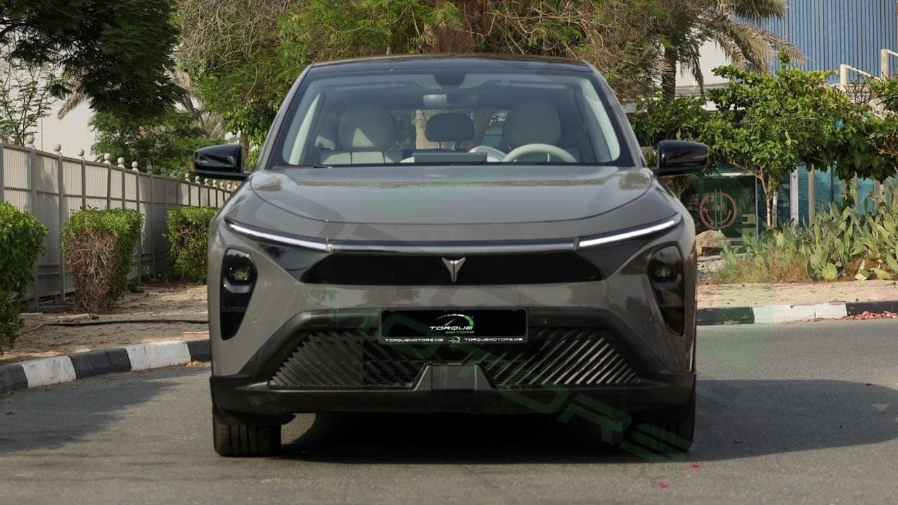 Ls Auto Lev01 CE ( 5 Years Warranty On vehicle + 8 Years Warranty on Battery) 2025 FWD GCC 0Km