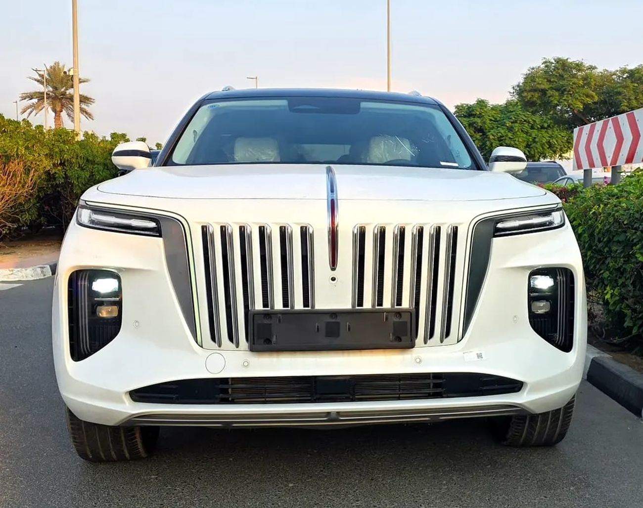 HONGQI EHS9 EV ZERO KM