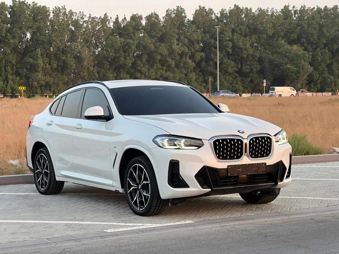 BMW X4 XDRIVE 30I M SPORT
