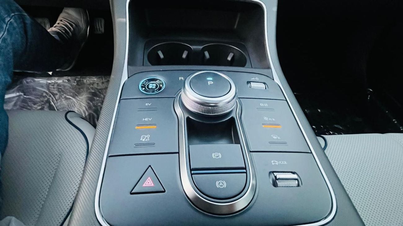 BYD Destroyer 05 STANDARD