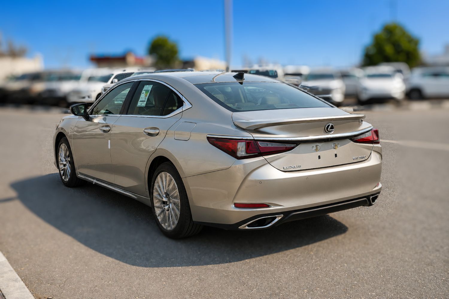 Lexus ES350 photo 5