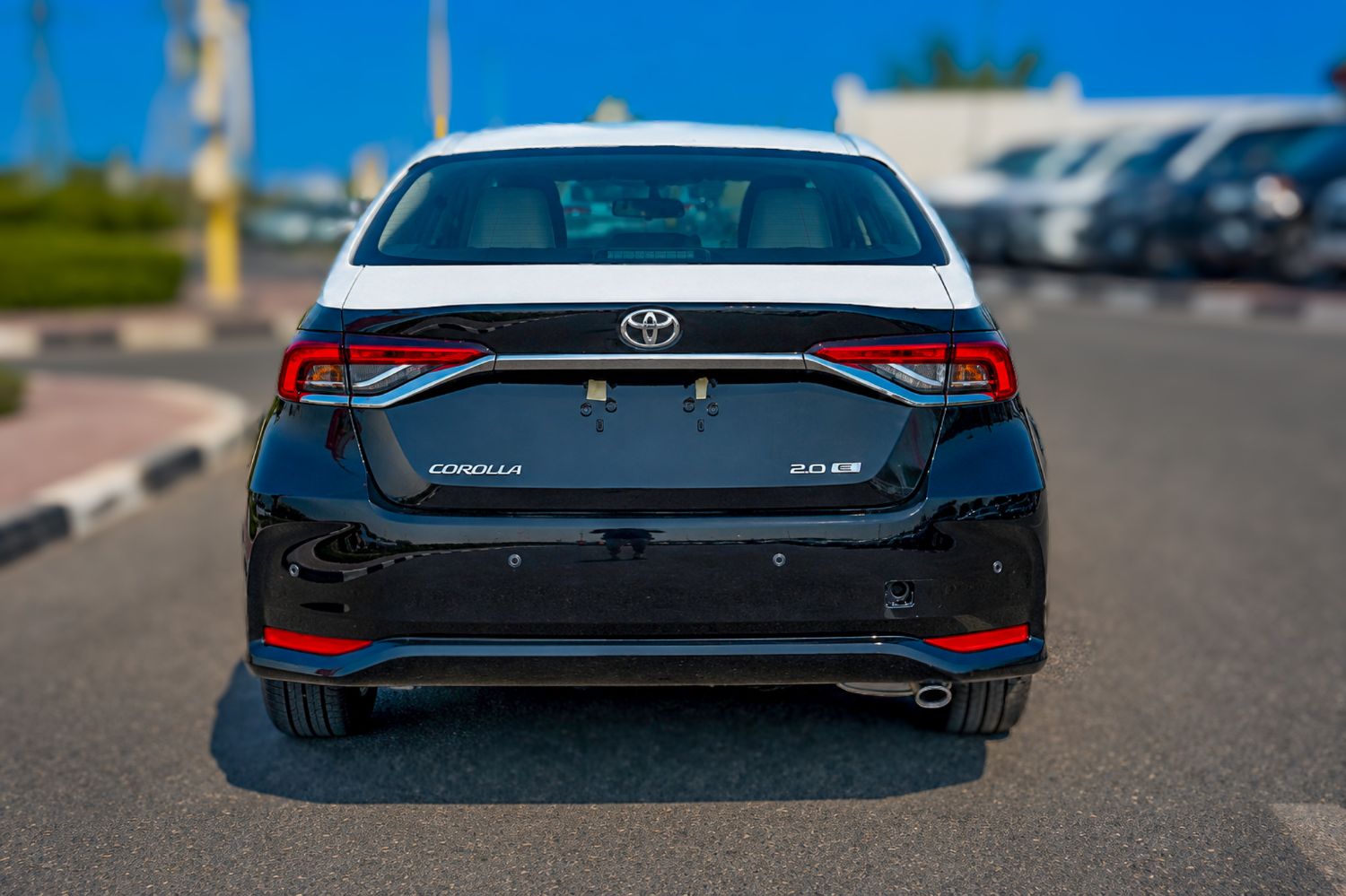 Toyota Corolla photo 5