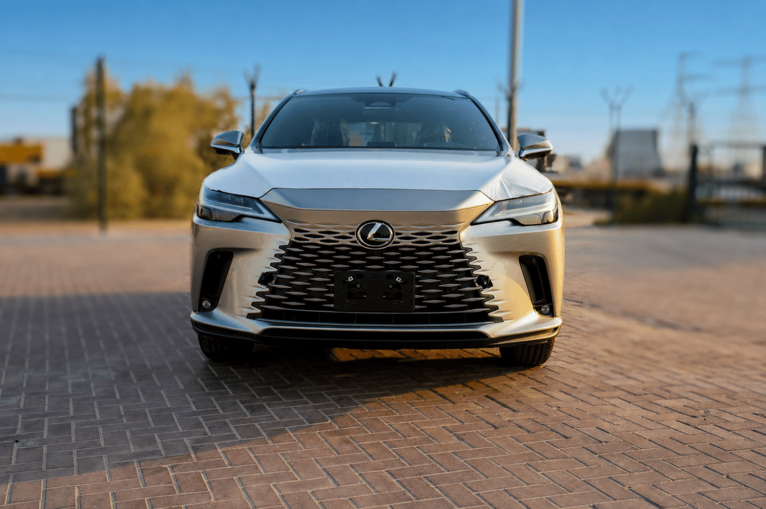 Lexus RX350 photo 2
