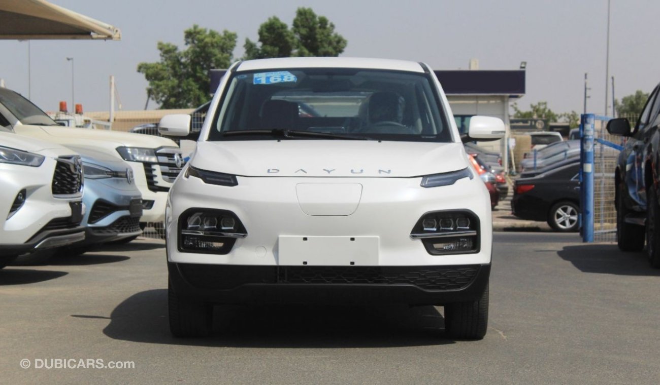 Dayun Yuehu Electric Car for Export sale only