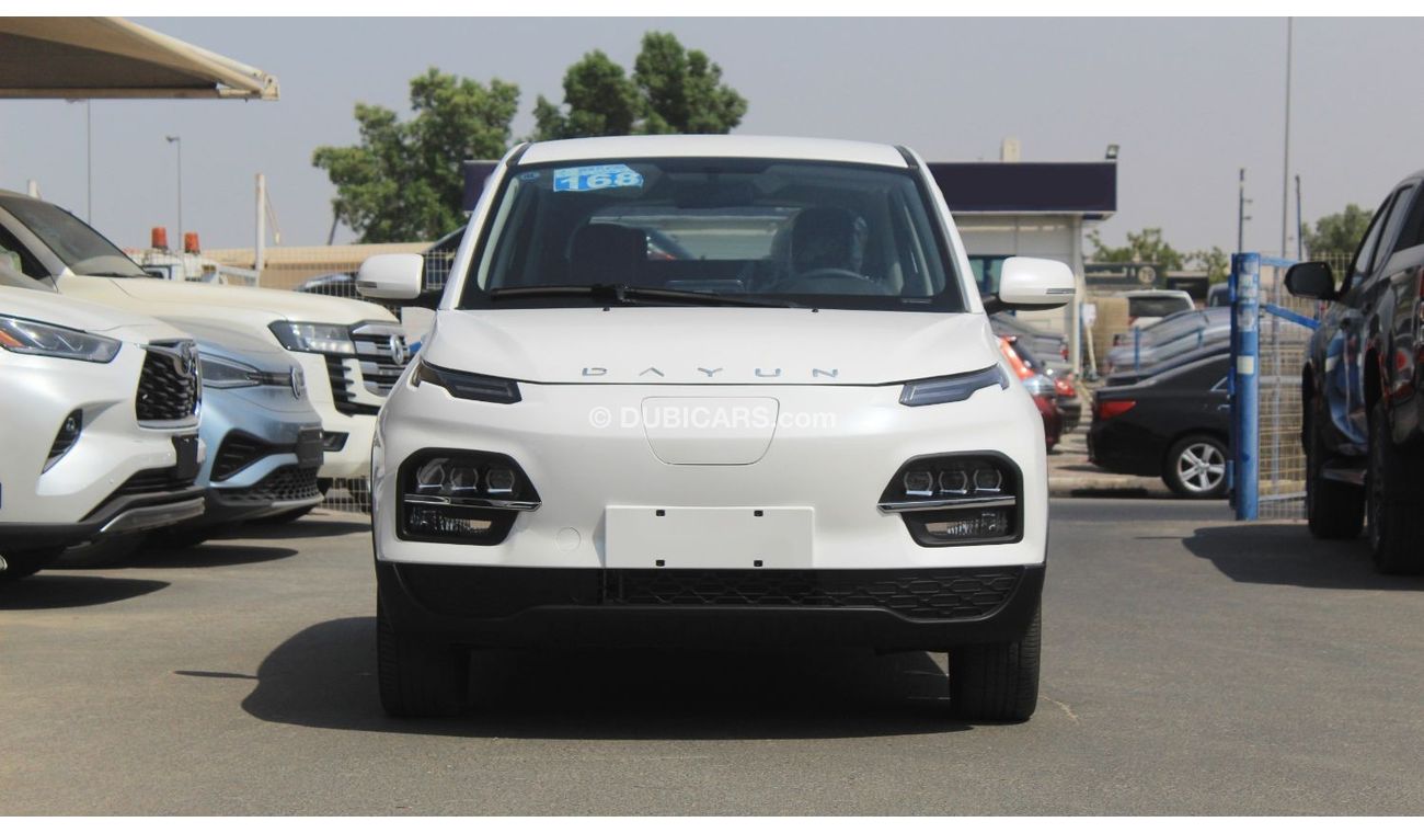 Dayun Yuehu Electric Car for Export sale only