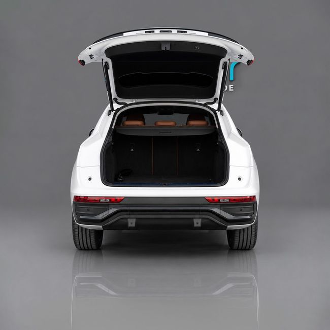 Audi Q5 45 TFSI SPORTBACK S-LINE, миниатюра 19