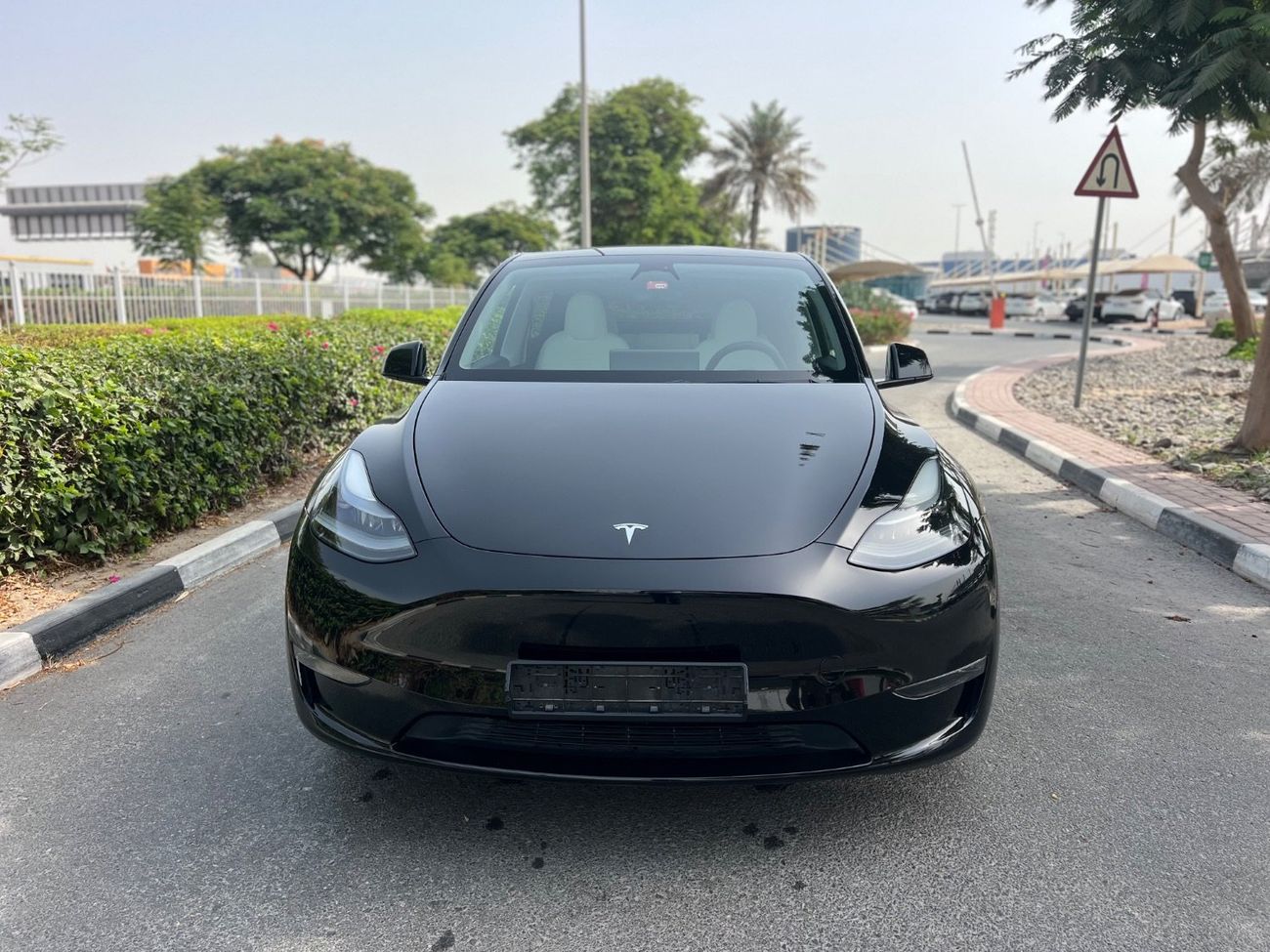 Tesla Model Y Performance (AWD)