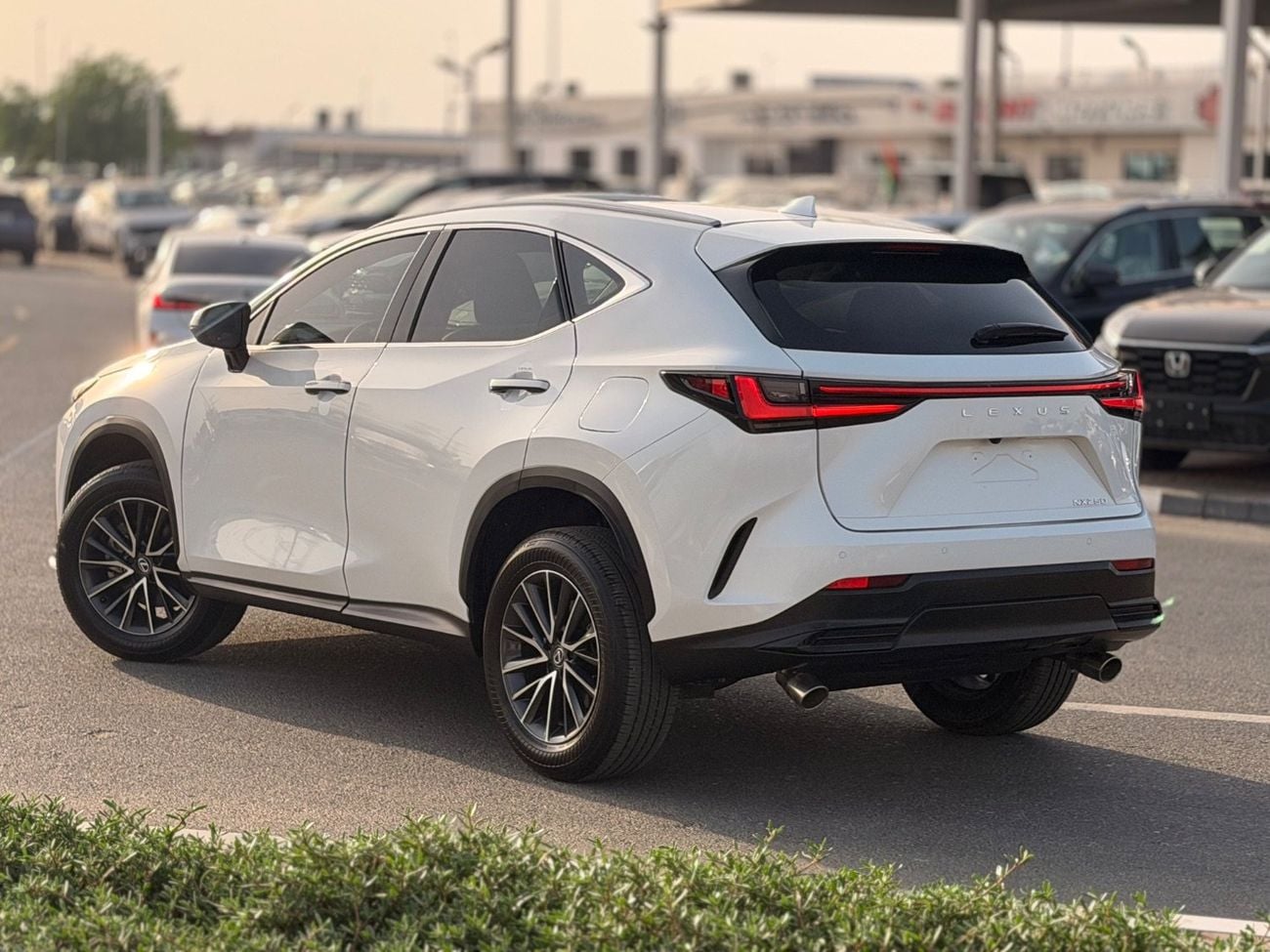 لكزس NX 250 2025 model Lexus NX250