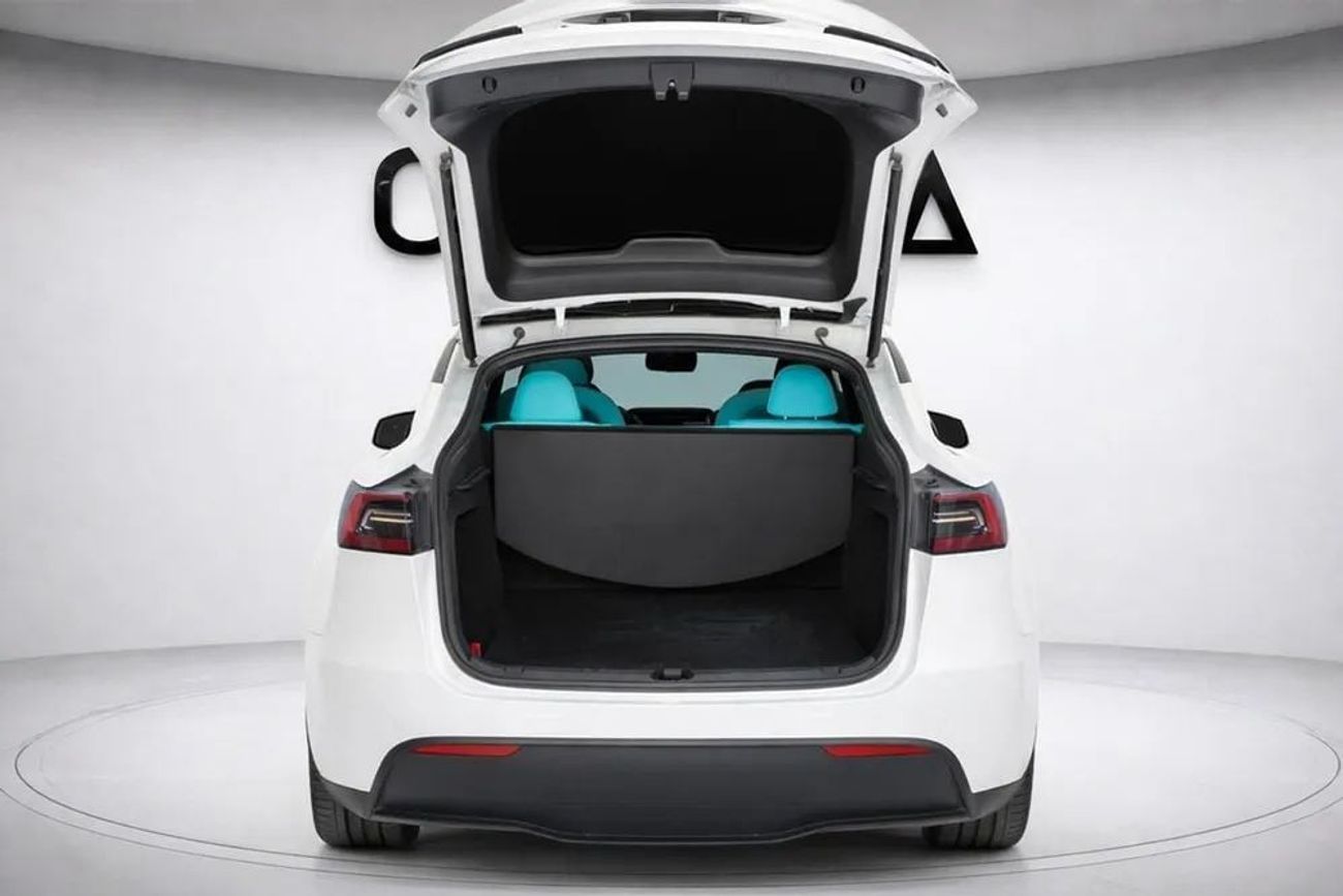 تسلا موديل Y Performance (AWD)